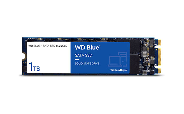 Western Digital WD Blue SATA SSD M.2 2280